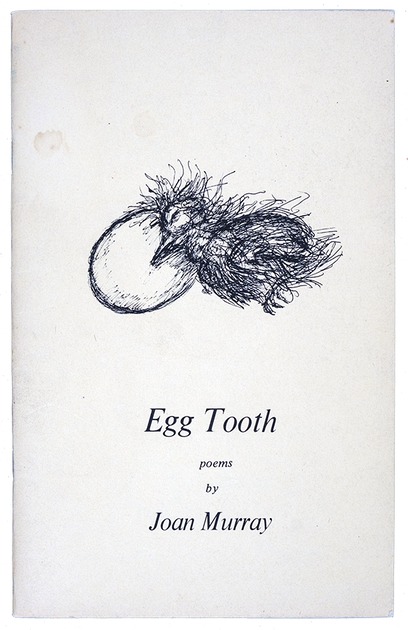 Egg Tooth