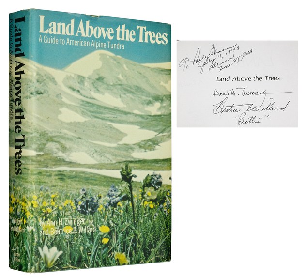 Land Above the Trees